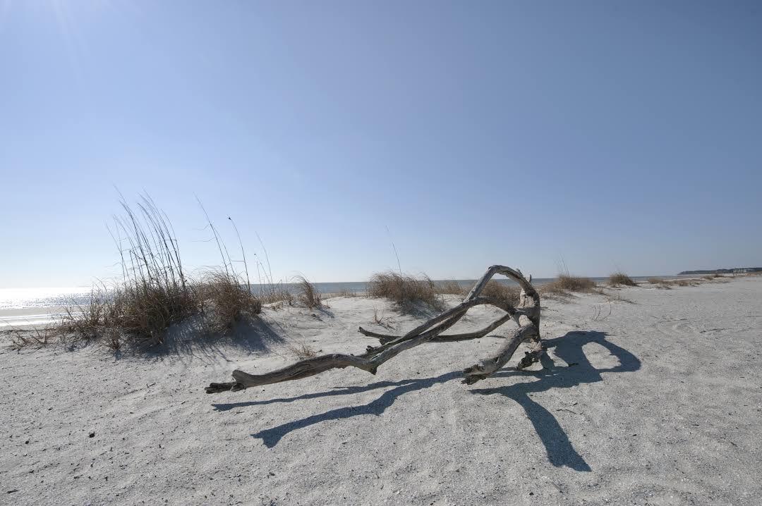 Folly Field Beach Park